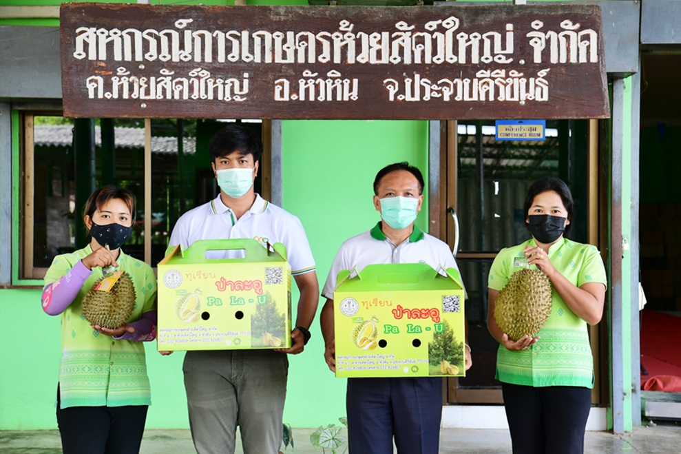 มูลนิธิเจริญโภคภัณฑ์หนุนโครงการตามพระราชประสงค์หมู่บ้านสหกรณ์ต่อเนื่อง ชู “ทุเรียนป่าละอู”