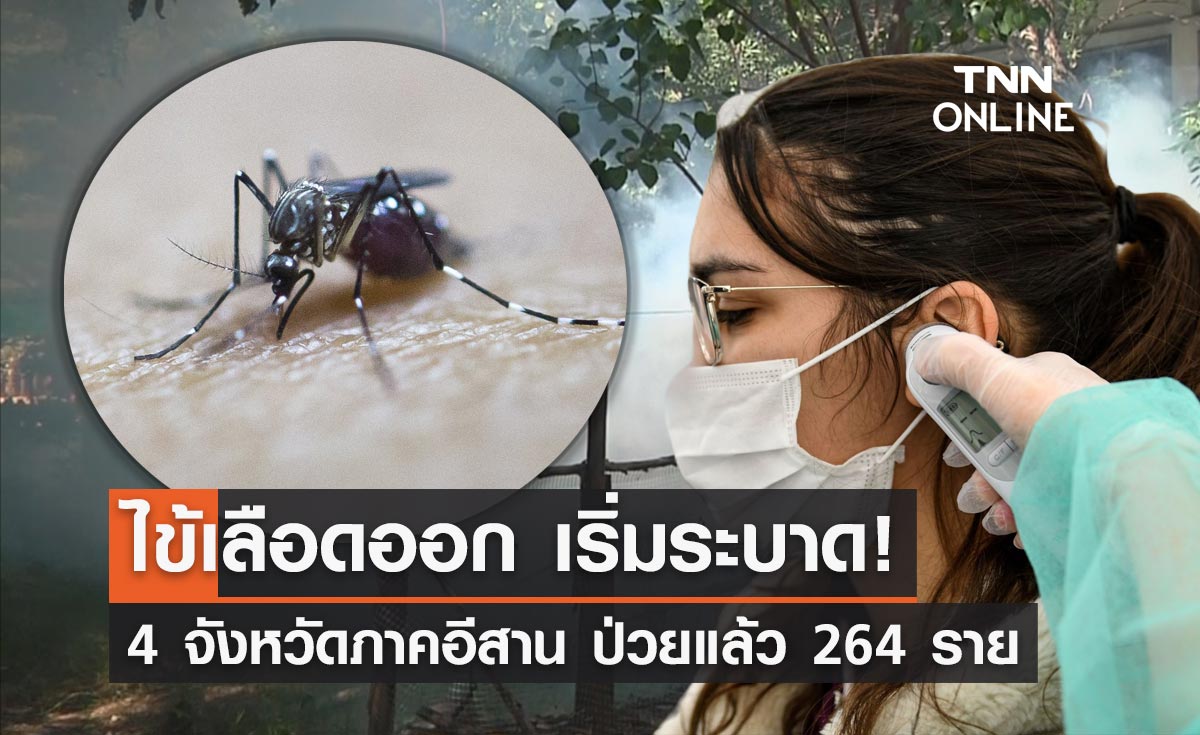 ไข้เลือดออก เริ่มระบาด! 4 จังหวัดภาคอีสานป่วยแล้ว 264 ราย 