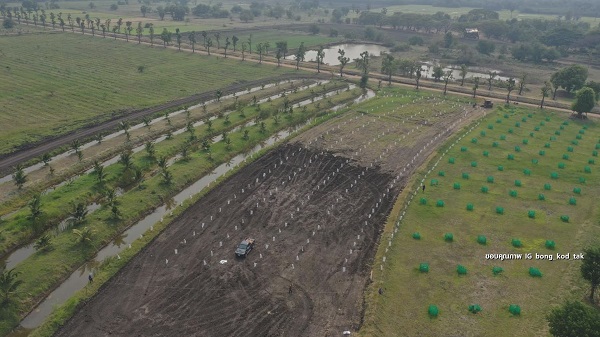 ตั๊ก บงกช เริ่มจริงจังกับการเกษตรแบบออร์แกนิค (มีคลิป)