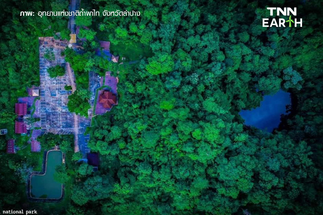 “หล่มภูเขียว” สถานที่ท่องเที่ยวลำปาง กับบ่อน้ำมหัศจรรย์กลางป่าใหญ่ “หล่มภูเขียว” สถานที่ท่องเที่ยวลำปาง กับบ่อน้ำมหัศจรรย์กลางป่าใหญ่