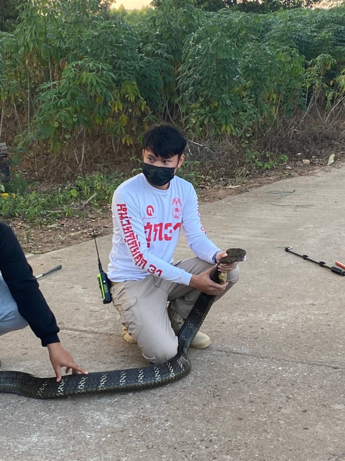 จงอางยักษ์ ยาว 4 เมตร บุกบ้าน โร่แจ้ง กู้ภัย จับด้วยมือเปล่า จงอางยักษ์ ยาว 4 เมตร บุกบ้าน โร่แจ้ง กู้ภัย จับด้วยมือเปล่า