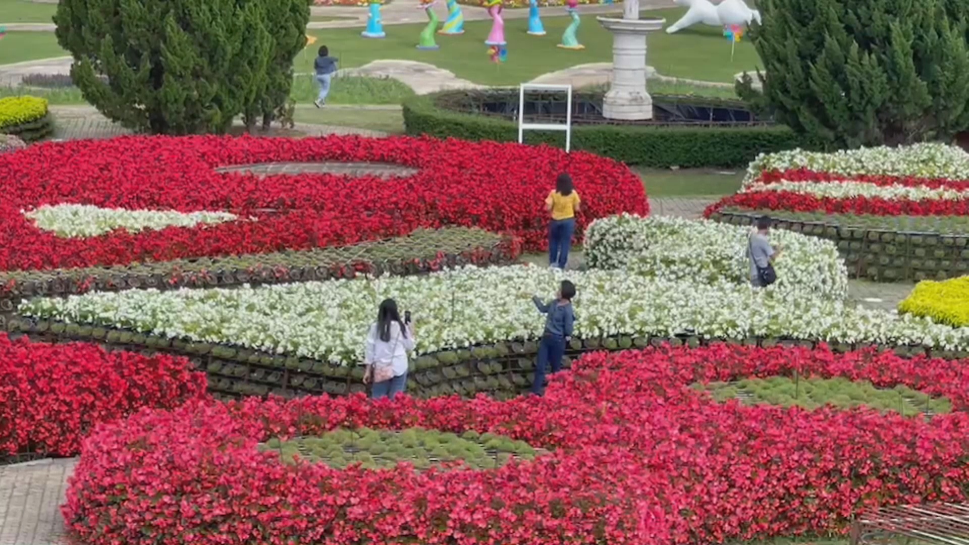 ที่เที่ยววังน้ำเขียว นทท.แห่ชมทะเลหมอกเขาแผงม้า-ทุ่งฟลอร่า ที่เที่ยววังน้ำเขียว นทท.แห่ชมทะเลหมอกเขาแผงม้า-ทุ่งฟลอร่า