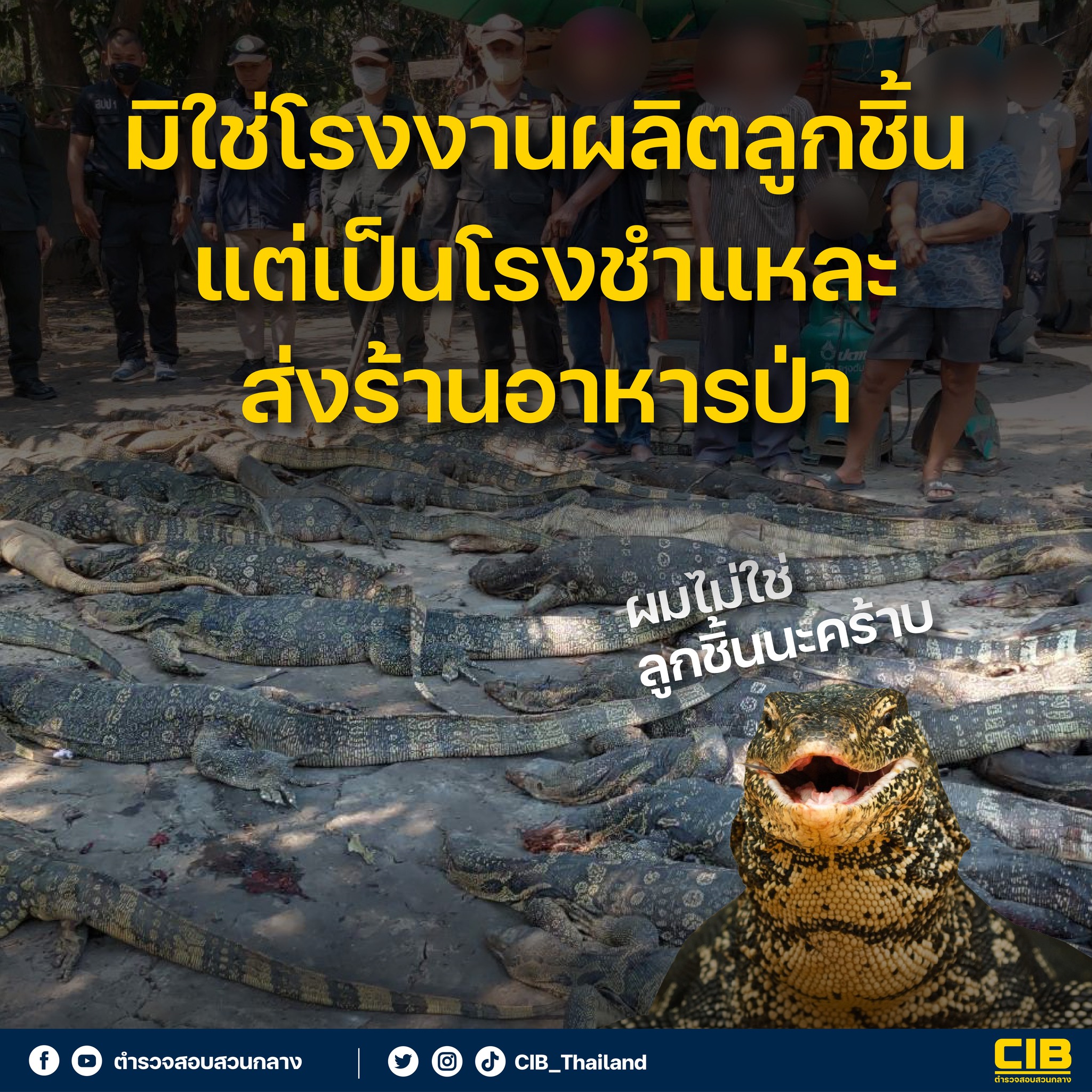 “เนื้อตัวเงินตัวทอง” กินได้ไหม - รสชาติต่างจากหนังปลาทอดอย่างไร? 