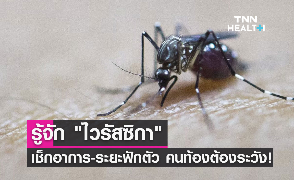 รู้จัก "ไวรัสซิกา" มีอาการอย่างไร ไวรัสสำคัญที่คุณแม่ตั้งครรภ์ต้องระวัง!
