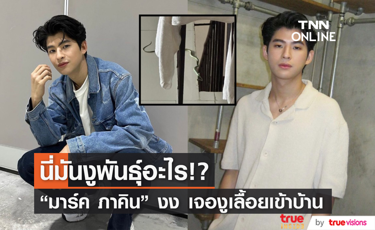 เอ๊ะนี่มันงูอะไร!? "มาร์ค ภาคิน" เจองูเลื้อยเข้าบ้าน จนต้องขอคำปรึกษาจากว่าที่สัตวแพทย์ชื่อดัง