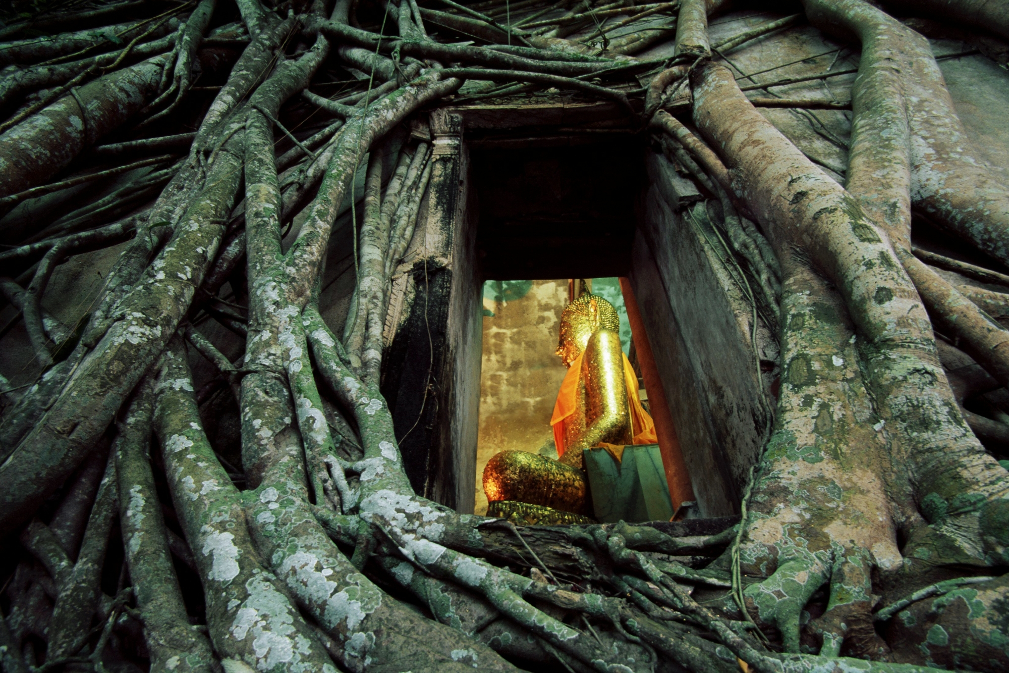 7 ที่เที่ยวสมุทรสงคราม 2565 เดินชิวเที่ยวตลาดน้ำ พร้อมนมัสการหลวงพ่อบ้านแหลม