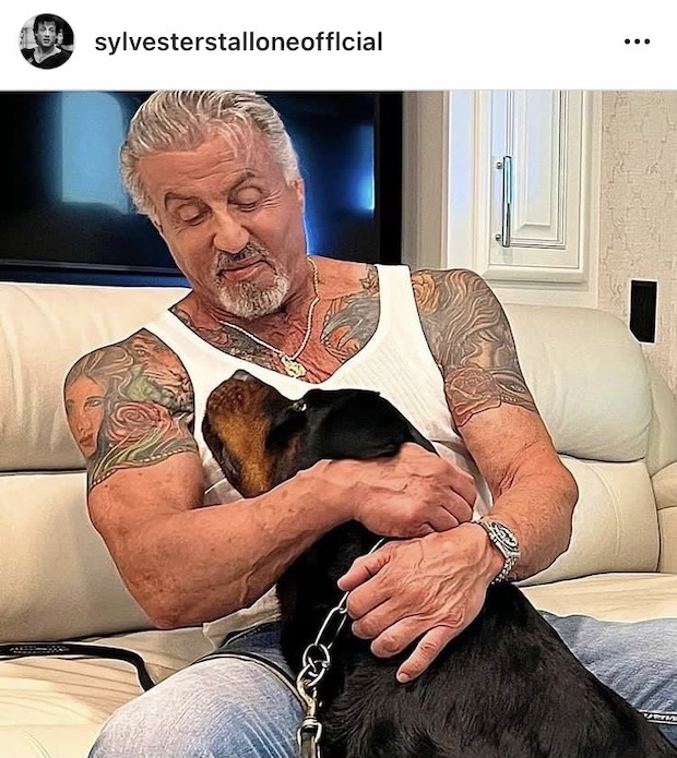 ภรรยาฟ้องหย่า!! ‘ซิลเวสเตอร์ สตอลโลน’ ไม่กี่วันหลังสักภาพสุนัขทับหน้าฝ่ายหญิงที่ต้นแขน ภรรยาฟ้องหย่า!! ‘ซิลเวสเตอร์ สตอลโลน’ ไม่กี่วันหลังสักภาพสุนัขทับหน้าฝ่ายหญิงที่ต้นแขน