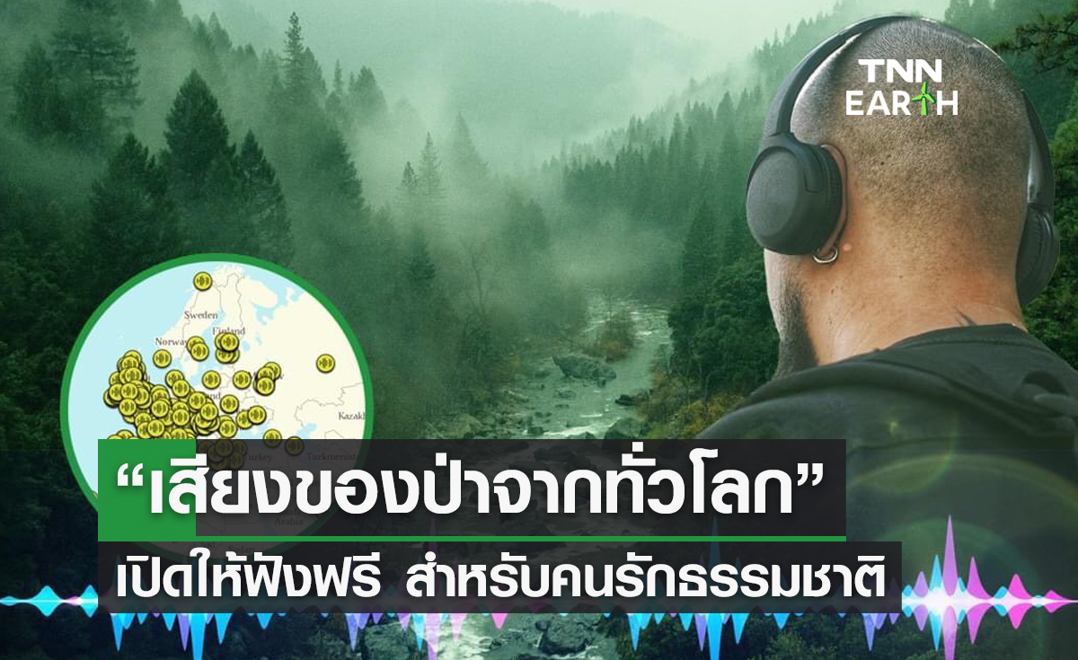 “เสียงของป่าจากทั่วโลก” เปิดให้ฟังฟรี สำหรับคนรักธรรมชาติ