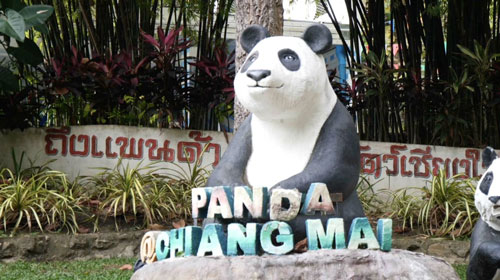 ย้อนรอย “ช่วงช่วง-หลินฮุ่ย” “แพนด้ายักษ์”ทูตสันถวไมตรี “ไทย-จีน” ย้อนรอย “ช่วงช่วง-หลินฮุ่ย” “แพนด้ายักษ์”ทูตสันถวไมตรี “ไทย-จีน”