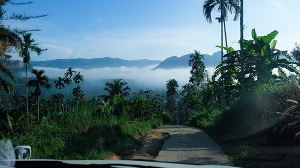 12 ที่เที่ยวระนอง 2565 สัมผัสเมืองรอง อันซีนทะเลอันดามัน 12 ที่เที่ยวระนอง 2565 สัมผัสเมืองรอง อันซีนทะเลอันดามัน