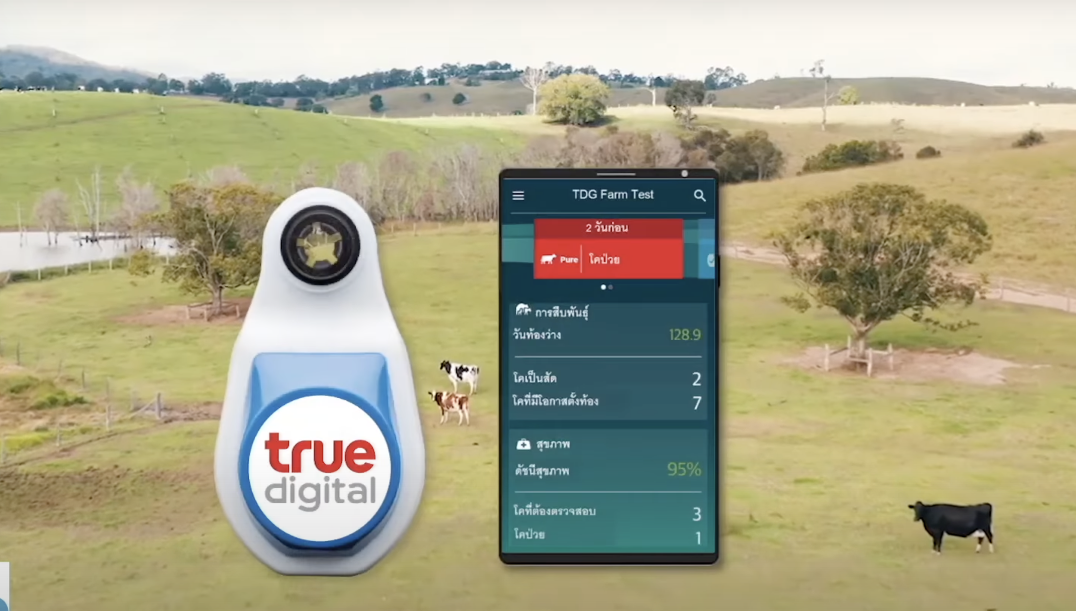 ตัวช่วยเลี้ยงสัตว์ยุคใหม่ด้วยเทคโนโลยี ตัวช่วยเลี้ยงสัตว์ยุคใหม่ด้วยเทคโนโลยี