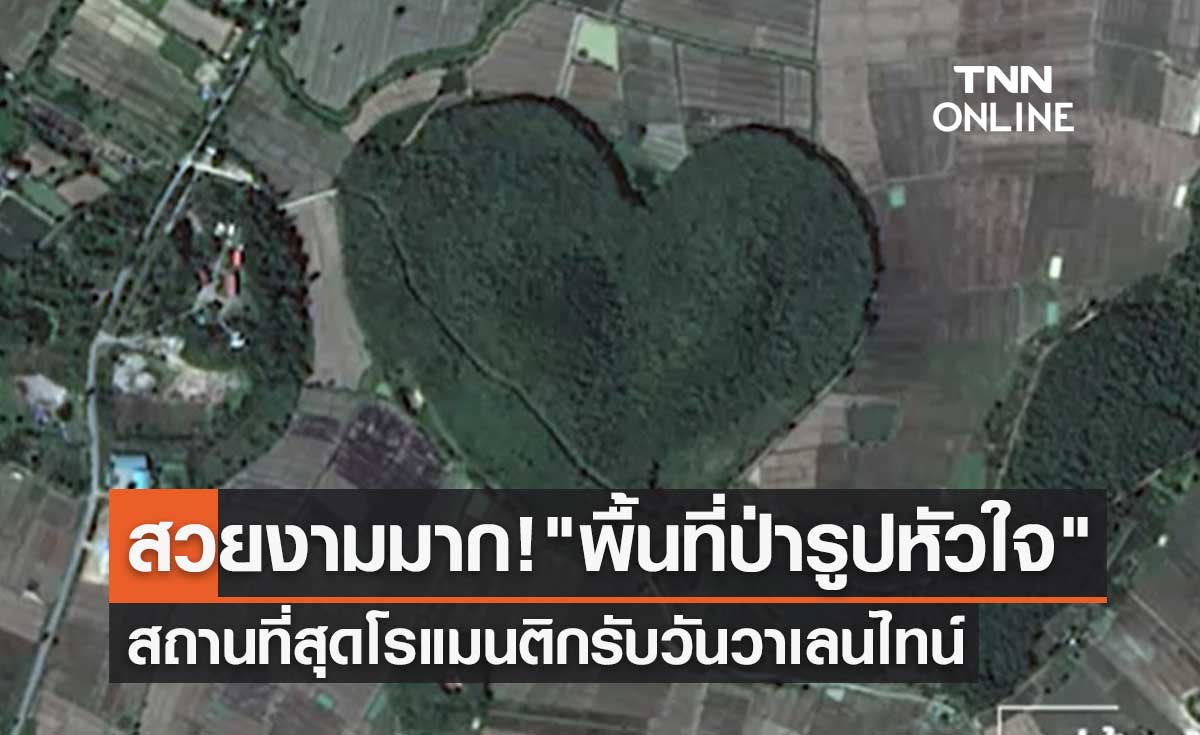 สวยงามมาก! "พื้นที่ป่ารูปหัวใจ" สถานที่สุดโรแมนติกรับวันวาเลนไทน์