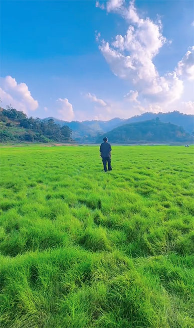 ไวรัล “อ.ธารโต ยะลา” สวิตเซอร์แลนด์เมืองไทย จุดเช็กอินลับใต้สุดแดนสยาม ไวรัล “อ.ธารโต ยะลา” สวิตเซอร์แลนด์เมืองไทย จุดเช็กอินลับใต้สุดแดนสยาม