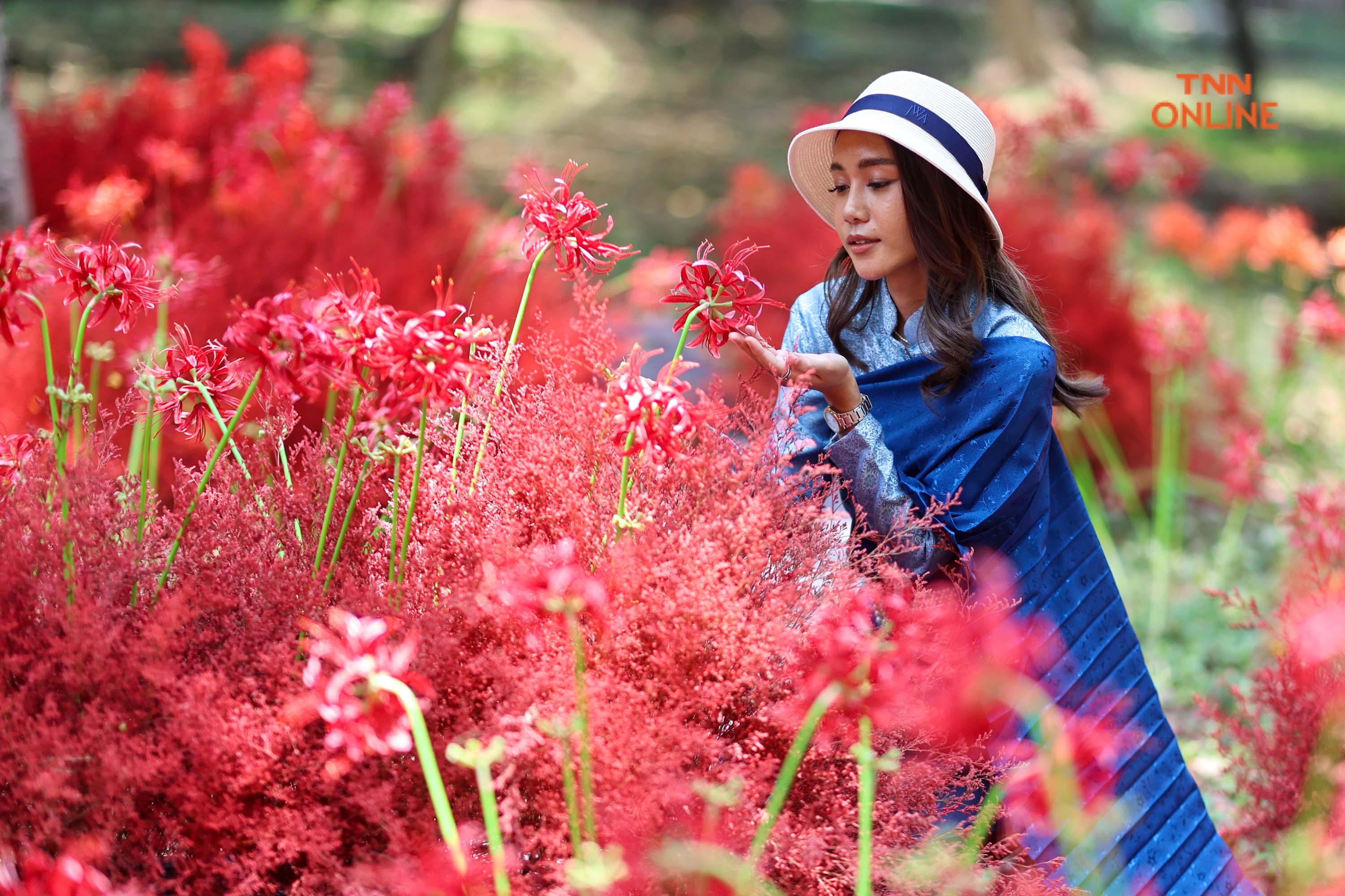 แชะ เที่ยว ชมดอกไม้นานาพันธ์ุ งานเทศกาลฤดูร้อน ณ สัทธา อุทยานไทย
