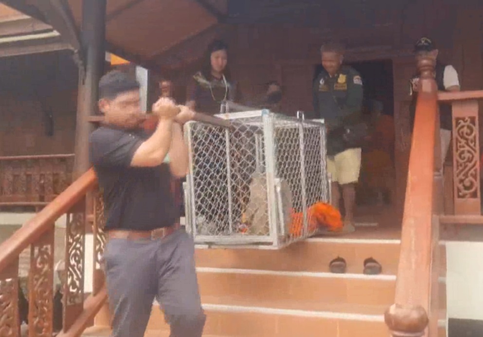 บุกจับ ลิงแสม จอมโหด ไล่กัดพระ-ชาวบ้านเจ็บหลายราย บุกจับ ลิงแสม จอมโหด ไล่กัดพระ-ชาวบ้านเจ็บหลายราย