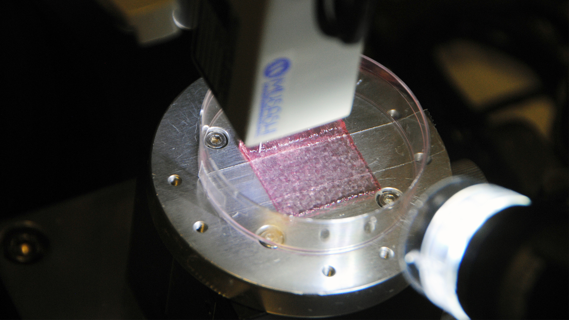 นักวิจัยพัฒนาผิวหนังพิมพ์ 3 มิติ ทดลองรักษาแผลหมูสำเร็จ เล็งใช้รักษามนุษย์ในอนาคต นักวิจัยพัฒนาผิวหนังพิมพ์ 3 มิติ ทดลองรักษาแผลหมูสำเร็จ เล็งใช้รักษามนุษย์ในอนาคต