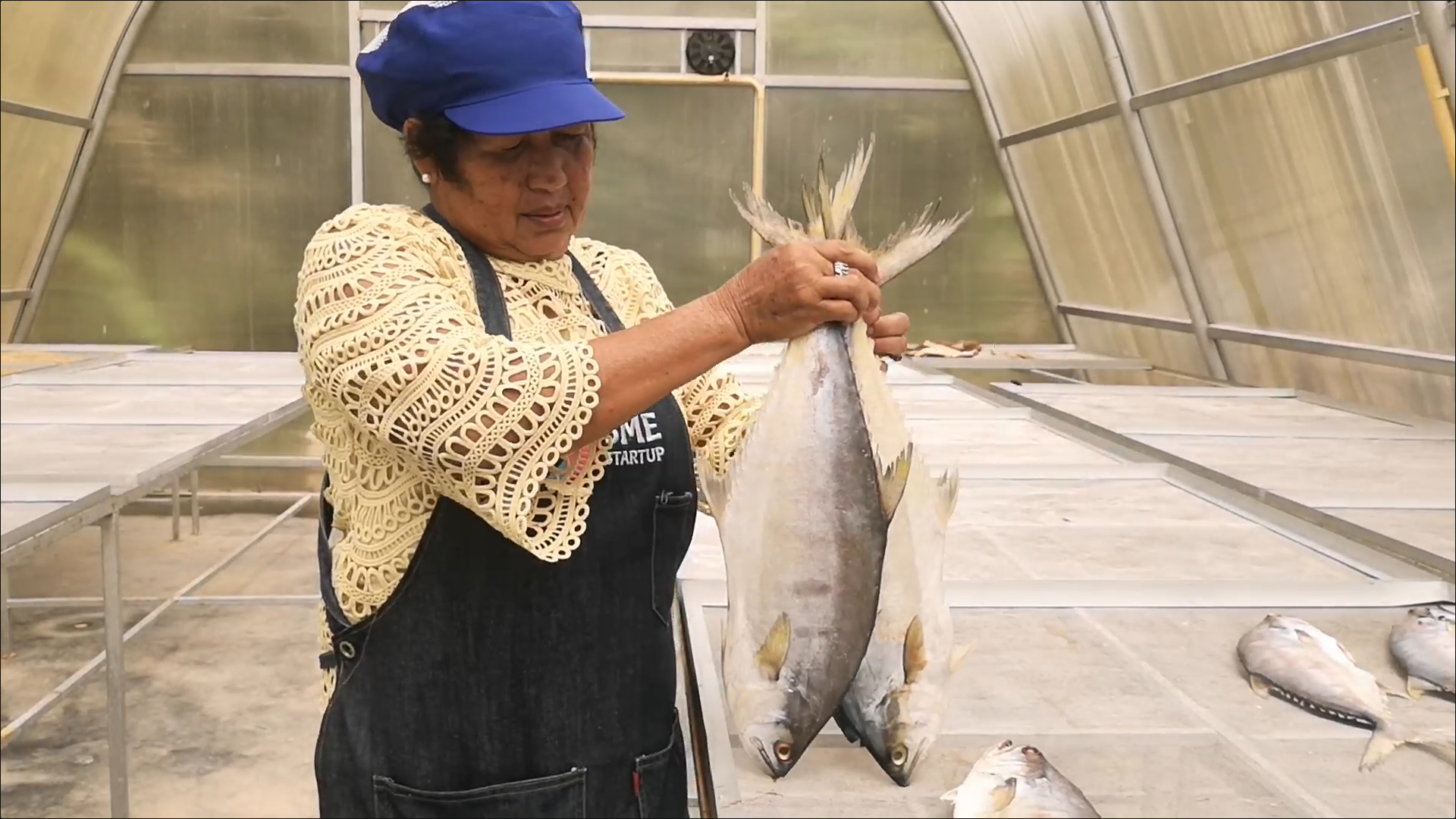 Soft Power กระแส ปลากุเลา แรงต่อเนื่อง ยอดขายพุ่งกว่าร้อยละ 30