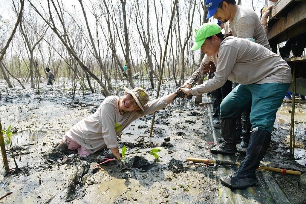 CPF ร่วมปกป้องความหลากหลายทางชีวภาพ รวมพลังพนักงาน ชุมชน หน่วยงานภาครัฐ  ปลูก ปัน ป้อง ป่าชายเลน จ.สมุทรสาคร