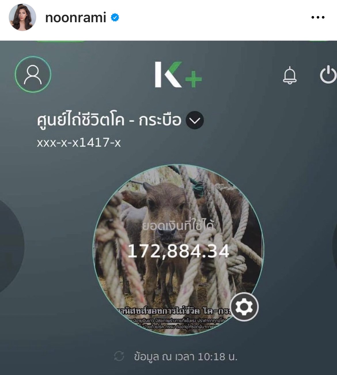 ชาวเน็ตร่วมอนุโมทนาบุญ หลัง นุ่น รมิดา ชวนร่วมบริจาคเงินไถ่ชีวิตโค-กระบือได้ครบทั้ง 4 ชีวิต