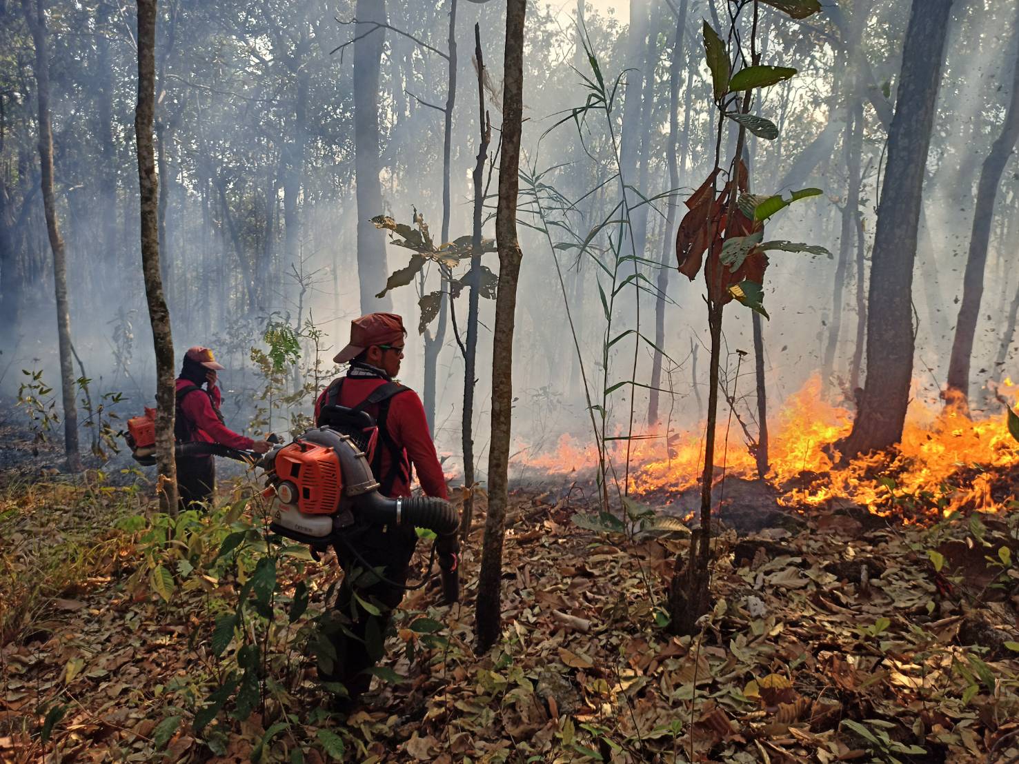 สั่งตรวจ ไฟป่า นำ โดรน DE นำเทคโนโลยี ช่วยตรวจไฟป่า สั่งตรวจ ไฟป่า นำ โดรน DE นำเทคโนโลยี ช่วยตรวจไฟป่า