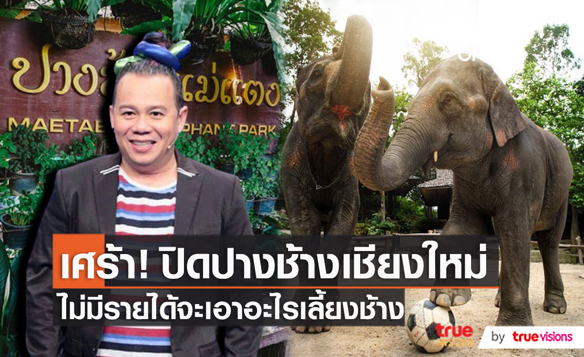 อาลัยปิดปางช้างแม่แตง เชียงใหม่ “เสนาหอย” ส่งกำลังใจถึงคนรักช้าง  (มีคลิป)