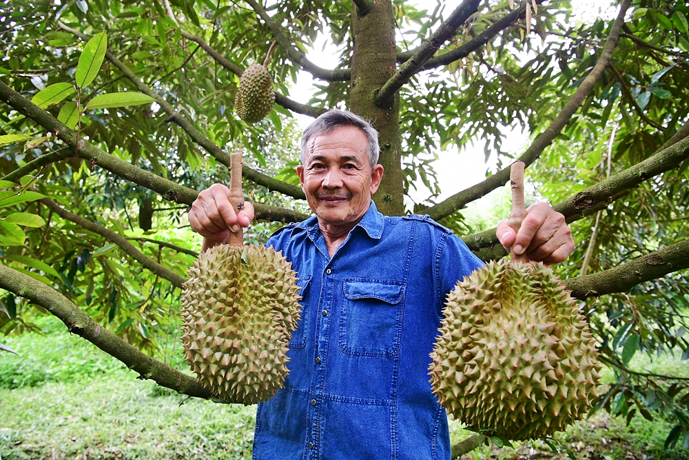 มูลนิธิเจริญโภคภัณฑ์หนุนโครงการตามพระราชประสงค์หมู่บ้านสหกรณ์ต่อเนื่อง ชู “ทุเรียนป่าละอู”