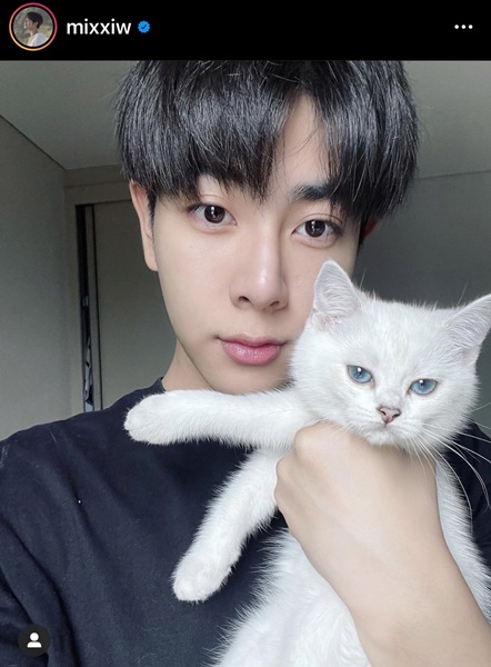 เอิร์ท-มิกซ์ คลั่งรัก ทุ่ม 250,000 สร้างบ้านให้น้องแมว เอิร์ท-มิกซ์ คลั่งรัก ทุ่ม 250,000 สร้างบ้านให้น้องแมว