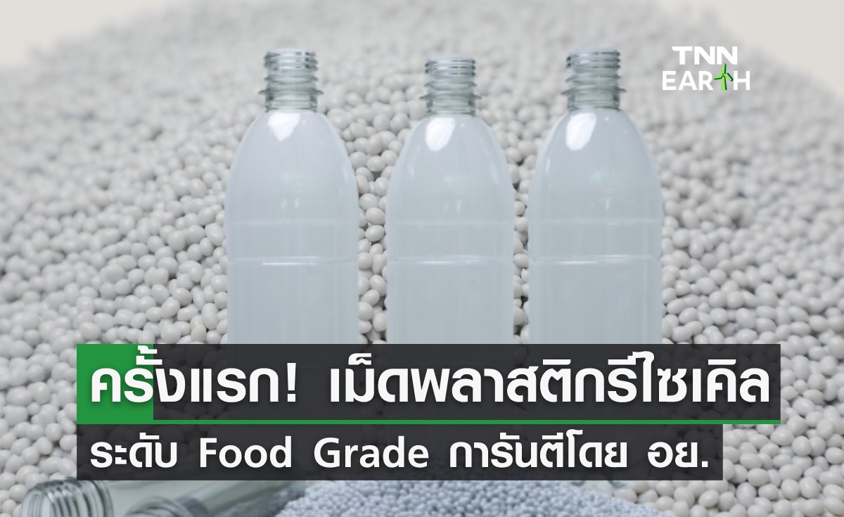 ครั้งแรกของไทย! เม็ดพลาสติกรีไซเคิล ระดับ Food Grade การันตีโดย อย.