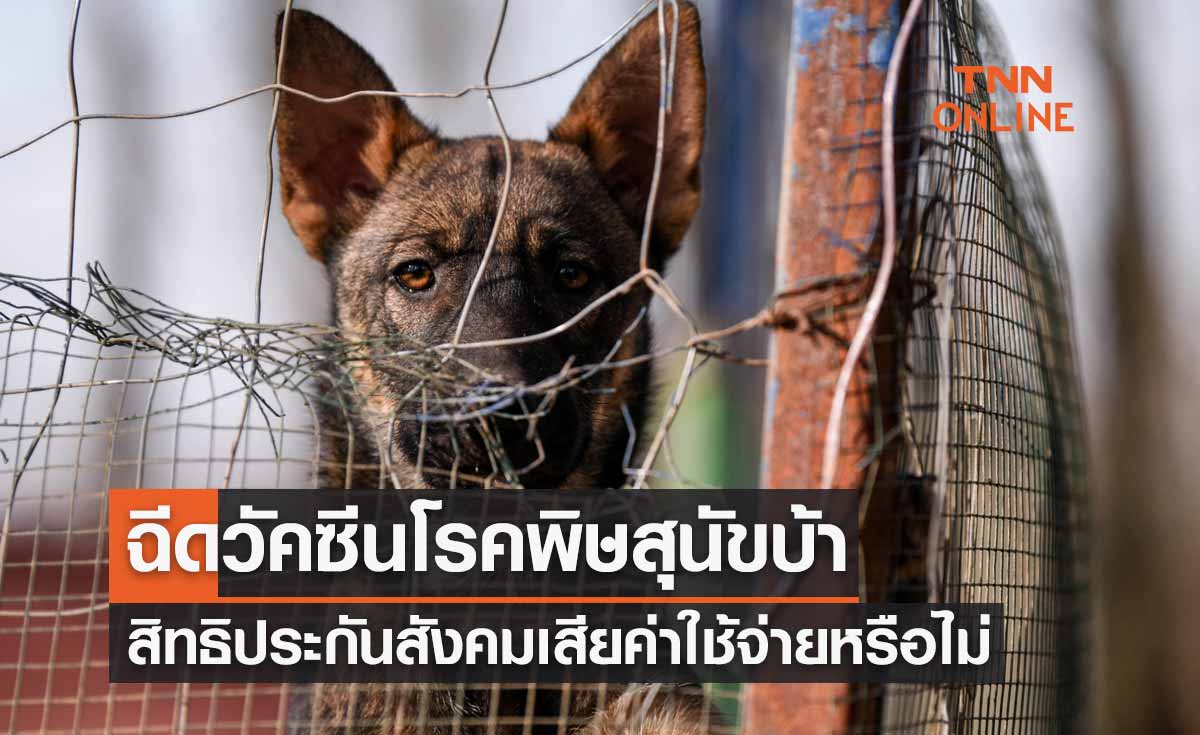 ฉีดวัคซีนป้องกันโรคพิษสุนัขบ้า สิทธิประกันสังคมเสียค่าใช้จ่ายหรือไม่?