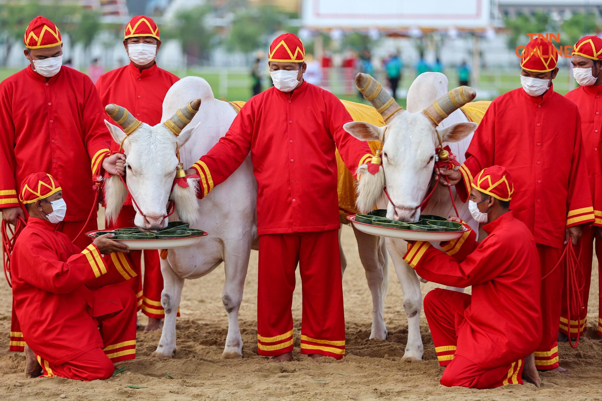 กระทรวงเกษตรเตรียมความพร้อม ซ้อมใหญ่ “พระราชพิธีพืชมงคลจรดพระนังคัลแรกนาขวัญ” กระทรวงเกษตรเตรียมความพร้อม ซ้อมใหญ่ “พระราชพิธีพืชมงคลจรดพระนังคัลแรกนาขวัญ”