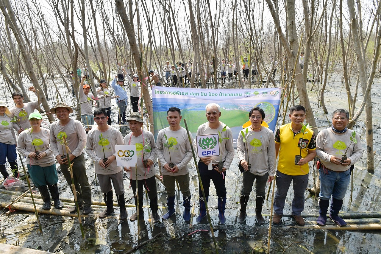 CPF ร่วมปกป้องความหลากหลายทางชีวภาพ รวมพลังพนักงาน ชุมชน หน่วยงานภาครัฐ  ปลูก ปัน ป้อง ป่าชายเลน จ.สมุทรสาคร