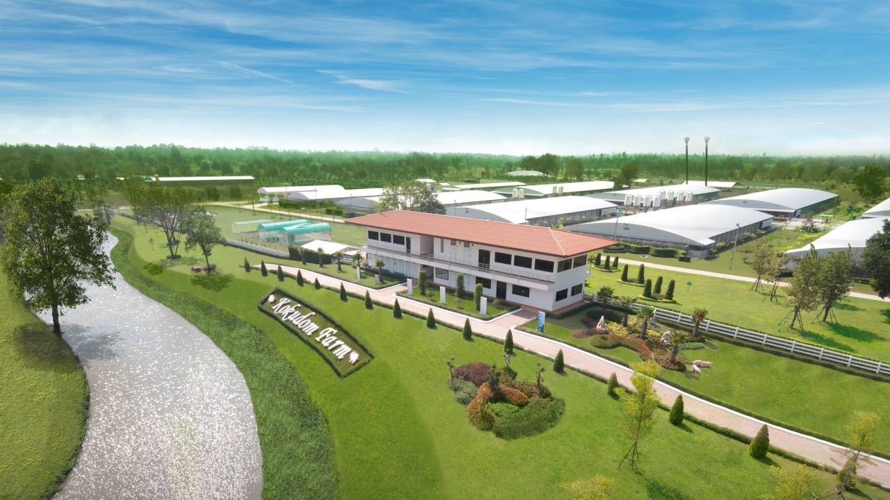 ซีพีเอฟ ชูระบบ “ไบโอซีเคียวริตี้” ป้องเข้มฟาร์มหมูจาก “ASF” ซีพีเอฟ ชูระบบ “ไบโอซีเคียวริตี้” ป้องเข้มฟาร์มหมูจาก “ASF”