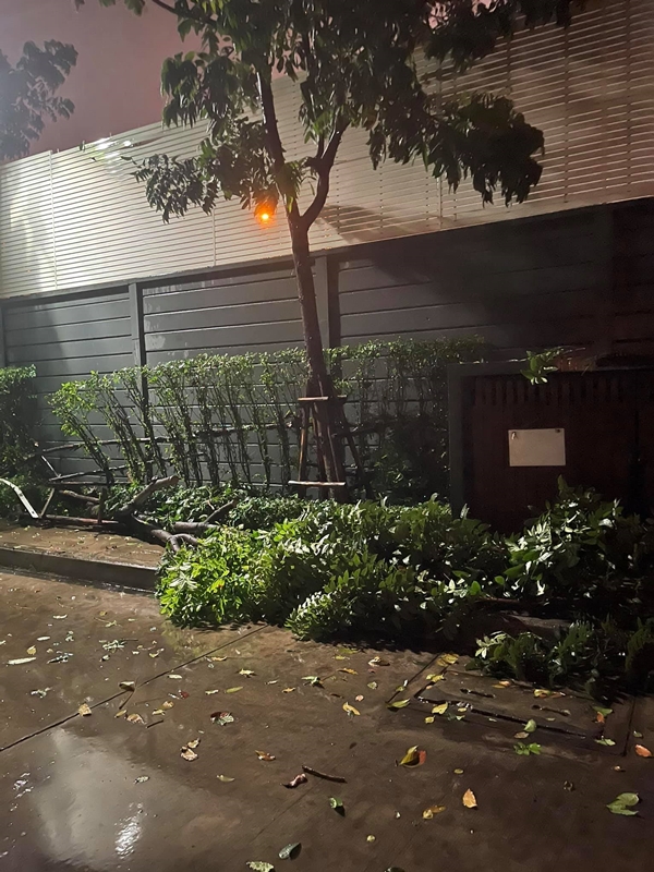 ระทึก!! โก้ ธีรศักดิ์ - บูม สุภาพร เจอฝนถล่ม บ้าน - รถ เสียหาย ระทึก!! โก้ ธีรศักดิ์ - บูม สุภาพร เจอฝนถล่ม บ้าน - รถ เสียหาย