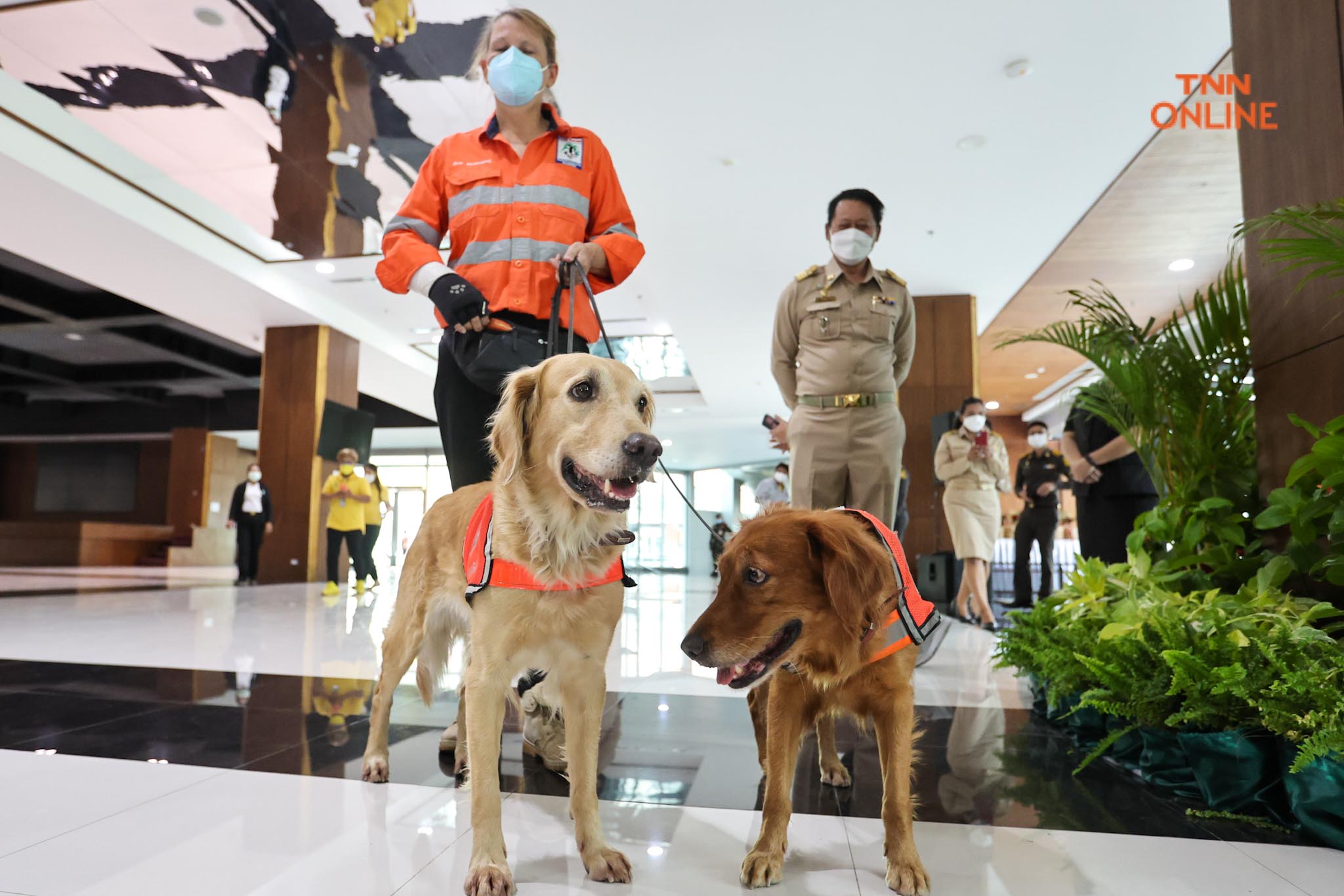 อวดความน่ารัก เซียร่า-ซาฮาร่า ชุดปฎิบัติงานทีม USAR Thailand เข้าพบผู้ว่า กทม. อวดความน่ารัก เซียร่า-ซาฮาร่า ชุดปฎิบัติงานทีม USAR Thailand เข้าพบผู้ว่า กทม.