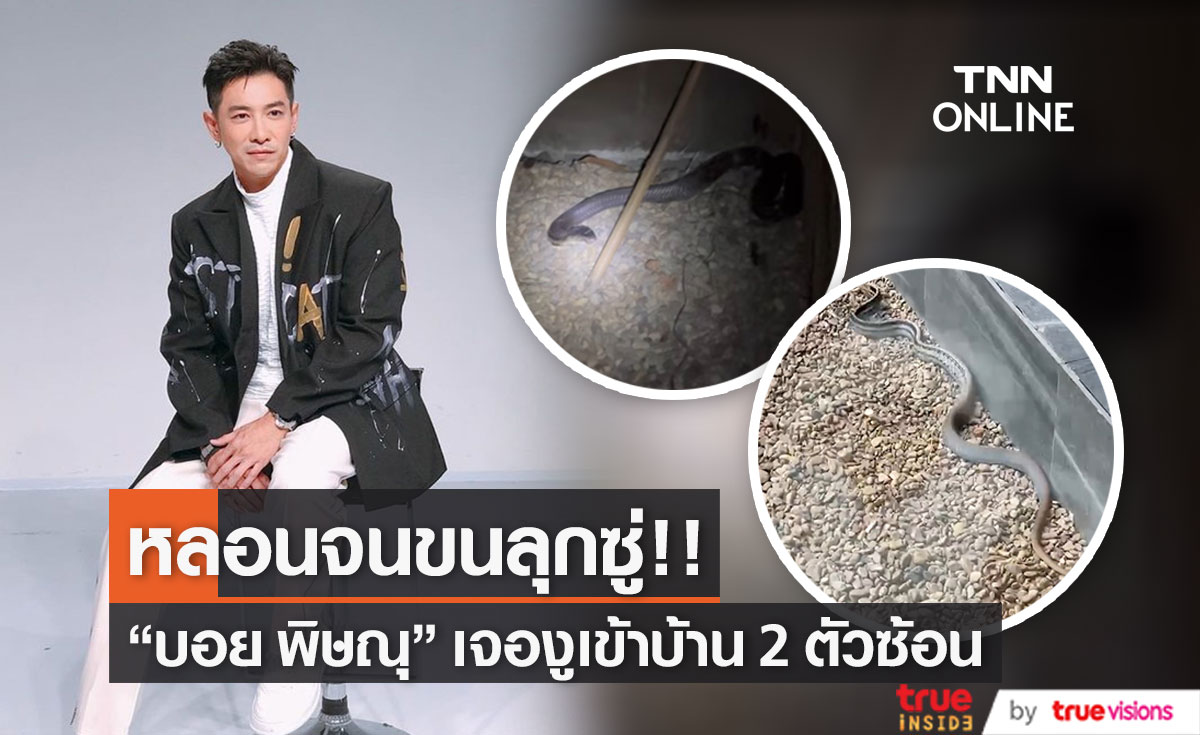 "บอย พิษณุ" โพสต์คลิปหลอน งูเข้าบ้าน 2 ตัวซ้อน ล่าสุดกู้ภัยเข้ามาจัดการแล้ว