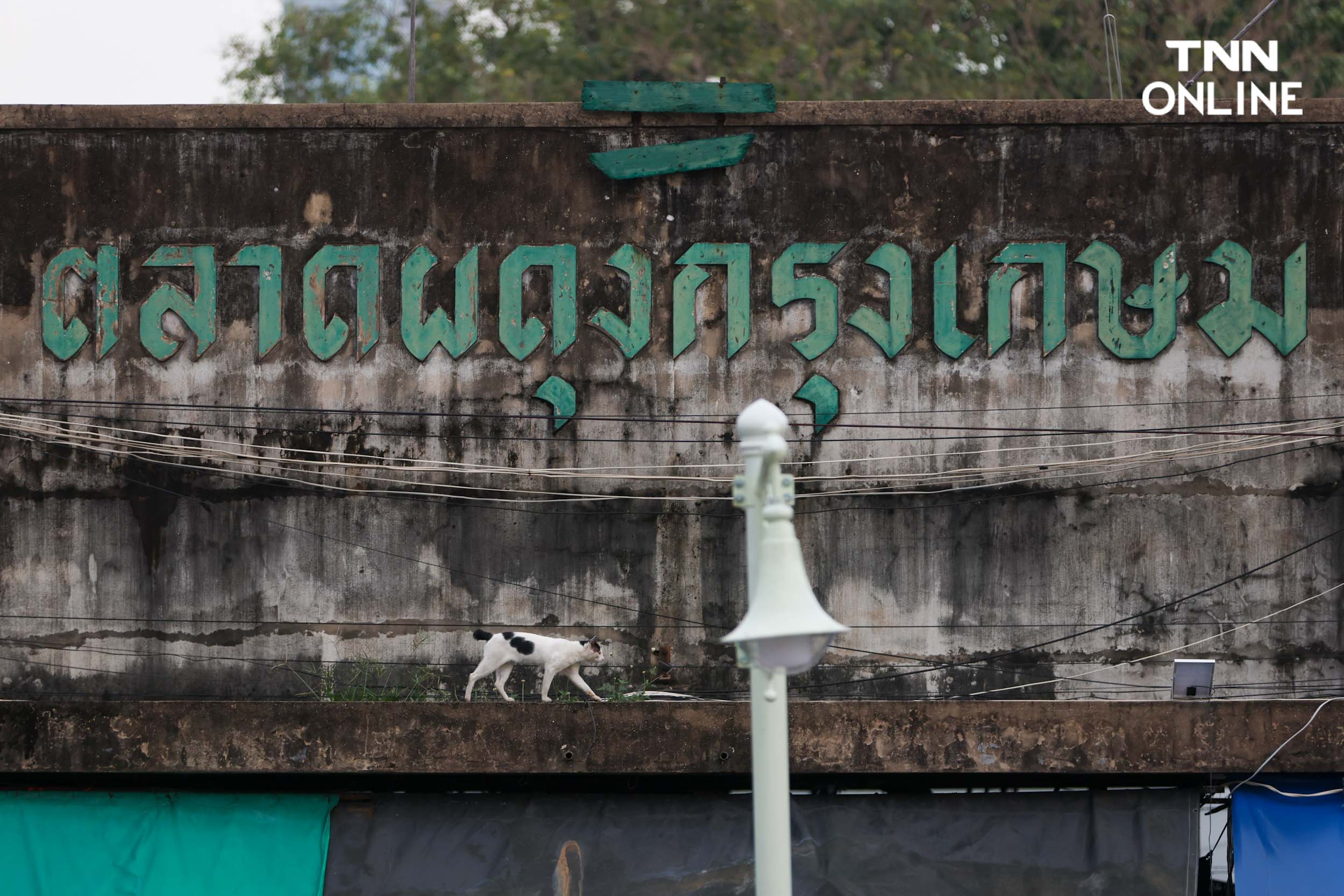 ชัชชาติทาสีปรับภูมิทัศน์ อาคารริมคลองผดุงกรุงเกษมมุ่งสู่โซนระดับโลก ชัชชาติทาสีปรับภูมิทัศน์ อาคารริมคลองผดุงกรุงเกษมมุ่งสู่โซนระดับโลก