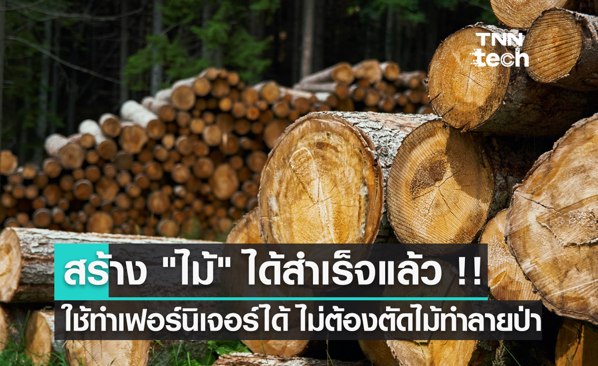 สร้าง "ไม้" ได้สำเร็จแล้ว !! ใช้ทำเฟอร์นิเจอร์ได้ ไม่ต้องตัดไม้ทำลายป่า