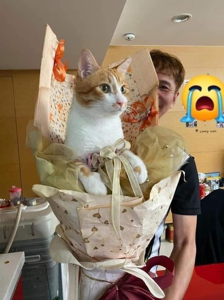 เปิดช่อดอกไม้ วันวาเลนไทน์ 2021 สุดแปลกถูกใจสายฮา เปิดช่อดอกไม้ วันวาเลนไทน์ 2021 สุดแปลกถูกใจสายฮา