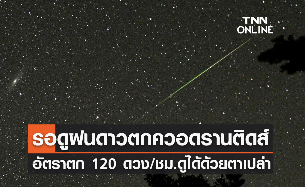 คืนนี้รอชม! "ฝนดาวตกควอดรานติดส์" ต้อนรับปีใหม่ 2565 ดูได้ด้วยตาเปล่า