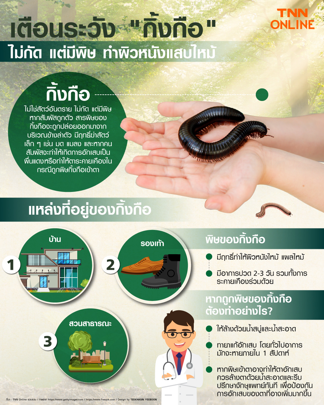 ไขข้อสงสัย กิ้งกือมีพิษไหม? กัดคนได้หรือไม่-อันตรายแค่ไหน ไขข้อสงสัย กิ้งกือมีพิษไหม? กัดคนได้หรือไม่-อันตรายแค่ไหน