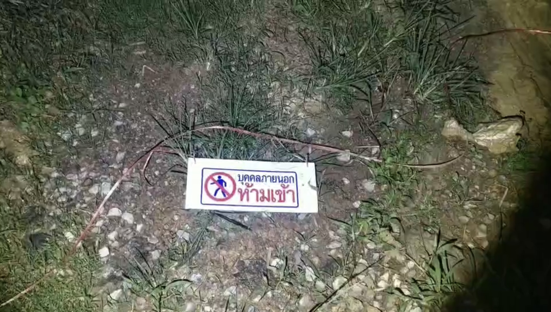 หวังตัดยกสวน! ทุเรียนราคาแพง 2 โจรเหิมออกขโมยกลางดึก หวังตัดยกสวน! ทุเรียนราคาแพง 2 โจรเหิมออกขโมยกลางดึก