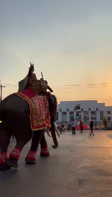 แปลงโฉมเป็นนางสงกรานต์ เดียร์น่า สวมชุดไทย นั่งเสลี่ยงบนหลังช้าง 