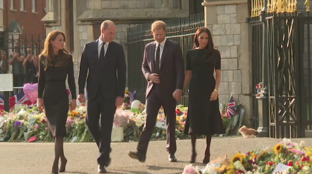 ฉายเดี่ยว!! 'เจ้าชายแฮร์รี่' จะเสด็จเข้าร่วมพระราชพิธีบรมราชาพิเษก 'คิงชาร์ลส์' 6 พ.ค.นี้ ฉายเดี่ยว!! 'เจ้าชายแฮร์รี่' จะเสด็จเข้าร่วมพระราชพิธีบรมราชาพิเษก 'คิงชาร์ลส์' 6 พ.ค.นี้