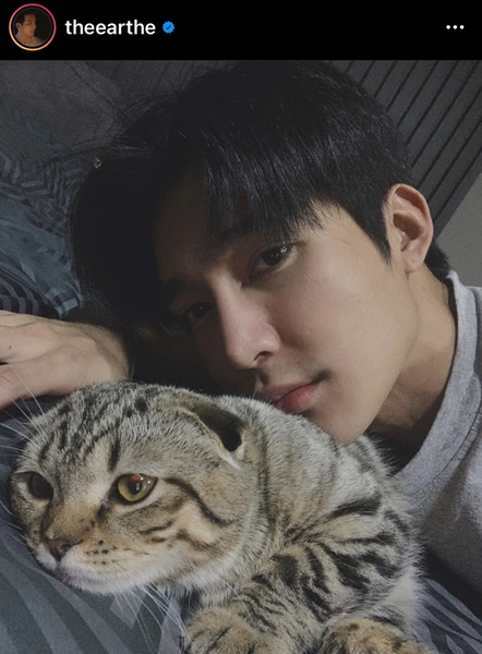 เอิร์ท-มิกซ์ คลั่งรัก ทุ่ม 250,000 สร้างบ้านให้น้องแมว เอิร์ท-มิกซ์ คลั่งรัก ทุ่ม 250,000 สร้างบ้านให้น้องแมว