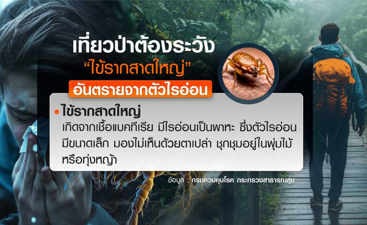 เที่ยวป่าต้องระวัง ไข้รากสาดใหญ่ เชื้ออันตรายจาก ตัวไรอ่อน เที่ยวป่าต้องระวัง ไข้รากสาดใหญ่ เชื้ออันตรายจาก ตัวไรอ่อน
