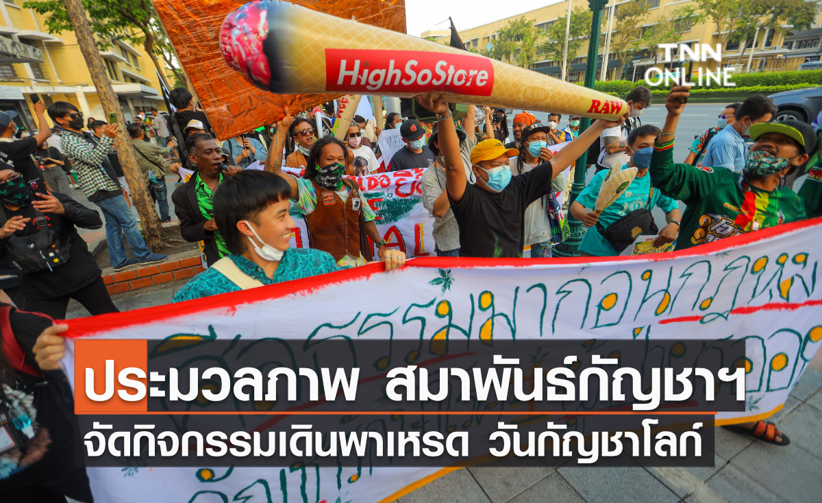 ประมวลภาพ “สมาพันธ์กัญชาฯ” จัดกิจกรรมเดินพาเหรด วันกัญชาโลก