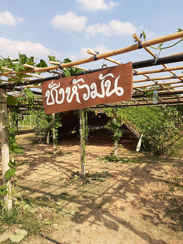 10 ที่เที่ยวเพชรบุรี นั่งรับลมริมหาดชะอำ นอนดูดาวริมเขื่อนแก่งกระจาน 10 ที่เที่ยวเพชรบุรี นั่งรับลมริมหาดชะอำ นอนดูดาวริมเขื่อนแก่งกระจาน