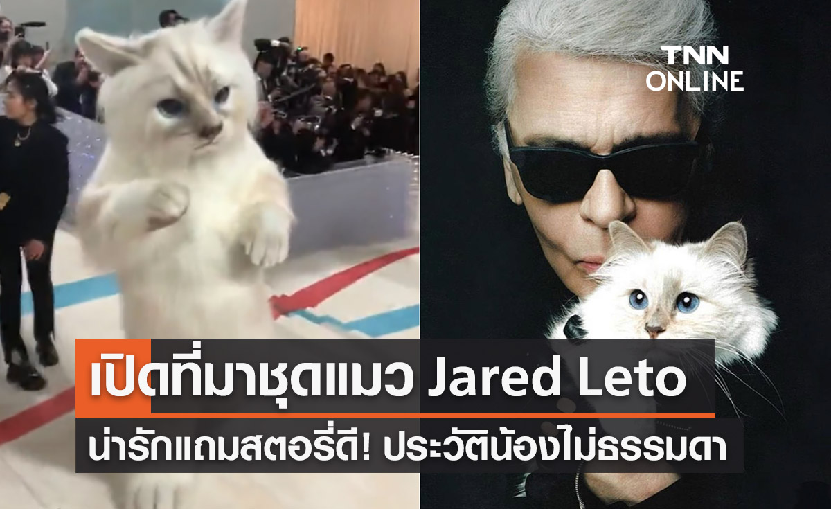งาน Met Gala 2023 เปิดที่มาชุดแมวของ Jared Leto น่ารักสตอรี่ดี!