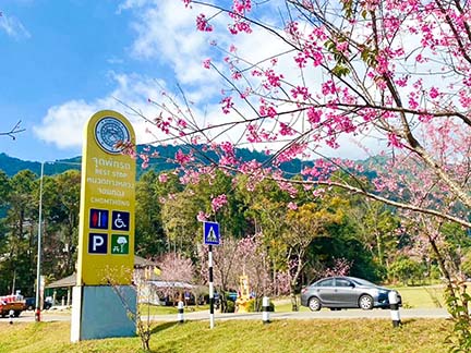 ‘ที่เที่ยวปีใหม่’ เปิด 15 เส้นทาง พิกัดน่าเช็กอินรับลมหนาวช่วงหยุดยาว ‘ที่เที่ยวปีใหม่’ เปิด 15 เส้นทาง พิกัดน่าเช็กอินรับลมหนาวช่วงหยุดยาว