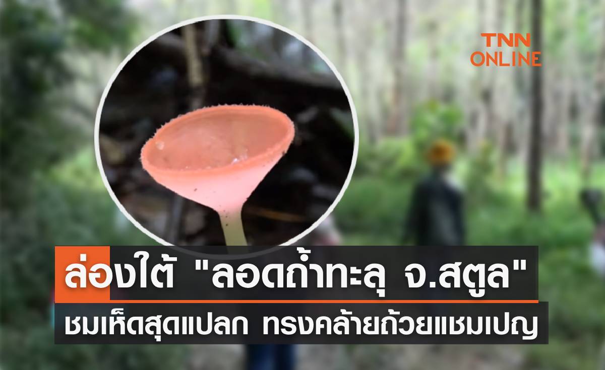 พาล่องใต้ "เที่ยวสตูล ลอดถ้ำทะลุ" ชมเห็ดสุดแปลก รูปทรงคล้ายถ้วยแชมเปญ!